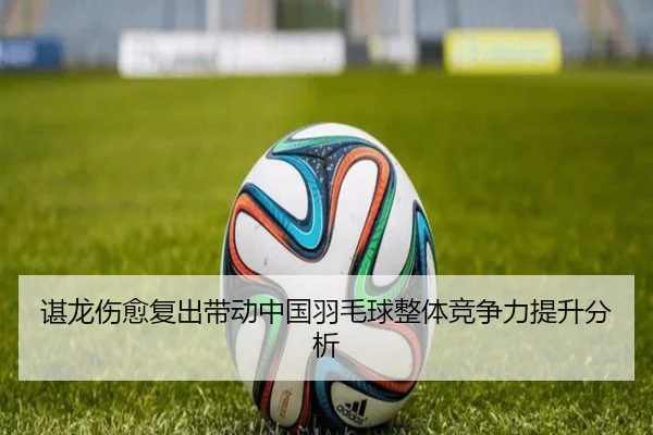 谌龙伤愈复出带动中国羽毛球整体竞争力提升分析