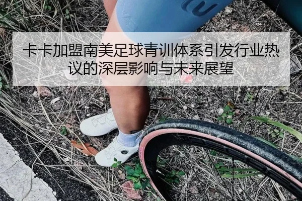 卡卡加盟南美足球青训体系引发行业热议的深层影响与未来展望