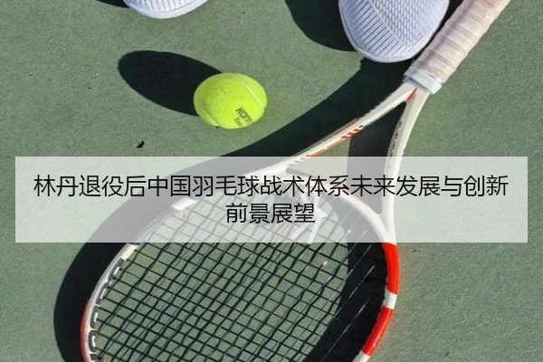 lin-dan-tui-yi-hou-zhong-guo-yu-mao-qiu-zhan-shu-ti-xi-wei-lai-fa-zhan-yu-chuang-xin-qian-jing-zhan-wang-2-347.jpg