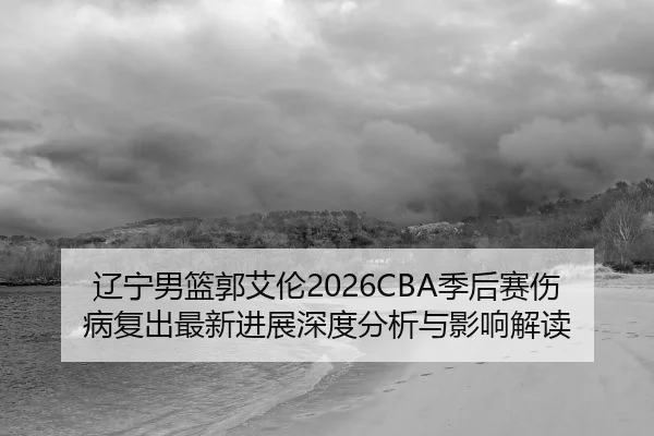 辽宁男篮郭艾伦2026CBA季后赛伤病复出最新进展深度分析与影响解读